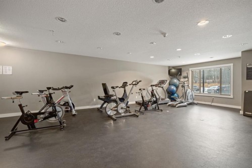 120-300 Palliser Lane, Canmore, AB - Indoor Photo Showing Gym Room