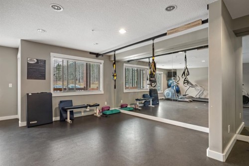 120-300 Palliser Lane, Canmore, AB - Indoor Photo Showing Gym Room