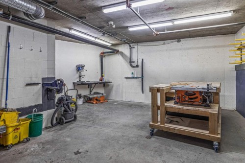 120-300 Palliser Lane, Canmore, AB - Indoor Photo Showing Garage