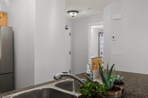120-300 Palliser Lane, Canmore, AB - Indoor Photo Showing Kitchen With Double Sink