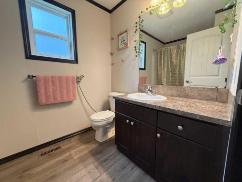 8 131074 Twp Rd 590, Rural Woodlands County, AB - Indoor Photo Showing Bathroom