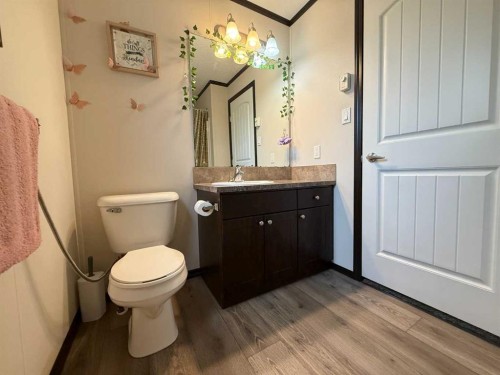 8 131074 Twp Rd 590, Rural Woodlands County, AB - Indoor Photo Showing Bathroom