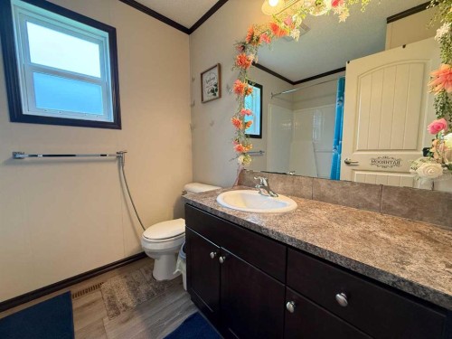 8 131074 Twp Rd 590, Rural Woodlands County, AB - Indoor Photo Showing Bathroom