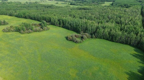 611015 Rge Rd 91, Rural Woodlands County, AB 