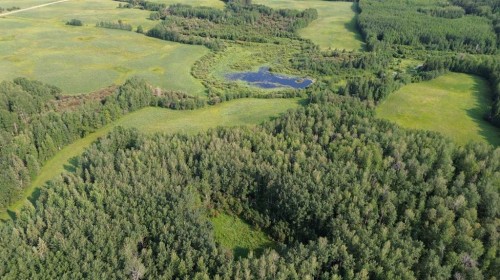 611015 Rge Rd 91, Rural Woodlands County, AB 