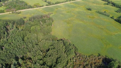 611015 Rge Rd 91, Rural Woodlands County, AB 