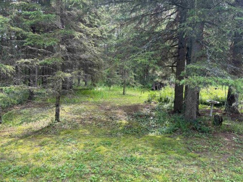 10A-185073 Township Road 654, Rural Athabasca County, AB - Outdoor