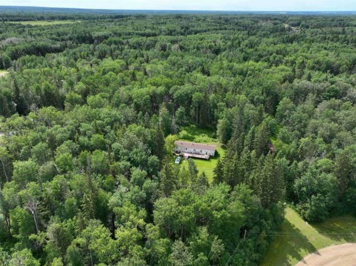 10A-185073 Township Road 654, Rural Athabasca County, AB - Outdoor With View