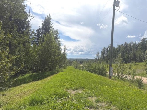 28-590059 Range Road 110, Rural Woodlands County, AB - Outdoor With View