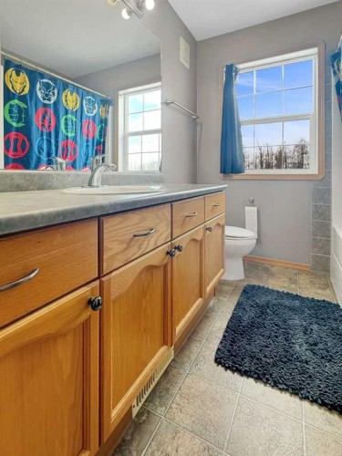 42-113033 Township Road 592, Rural Woodlands County, AB - Indoor Photo Showing Bathroom