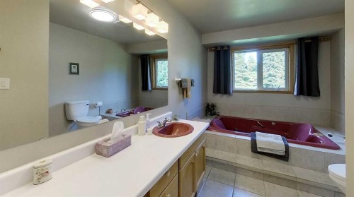 53419A Range Road 161, Rural Yellowhead County, AB - Indoor Photo Showing Bathroom