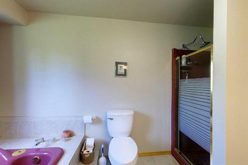 53419A Range Road 161, Rural Yellowhead County, AB - Indoor Photo Showing Bathroom