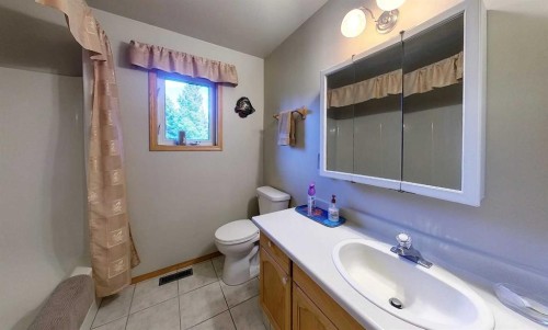 53419A Range Road 161, Rural Yellowhead County, AB - Indoor Photo Showing Bathroom