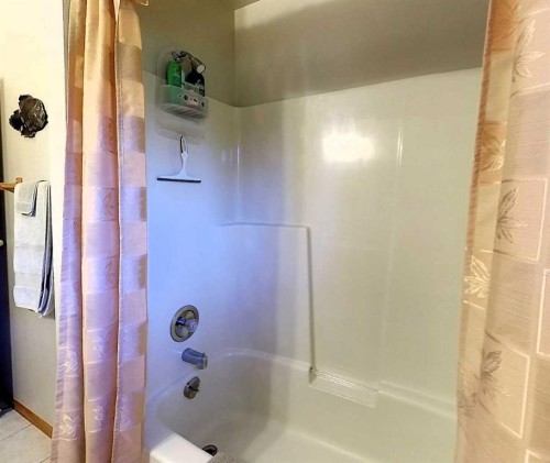 53419A Range Road 161, Rural Yellowhead County, AB - Indoor Photo Showing Bathroom