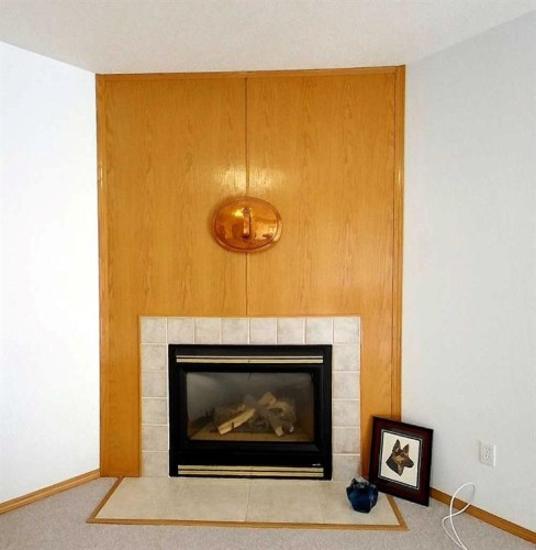 53419A Range Road 161, Rural Yellowhead County, AB - Indoor Photo Showing Living Room With Fireplace