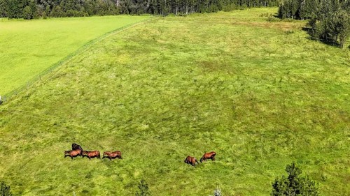 53419A Range Road 161, Rural Yellowhead County, AB - Outdoor