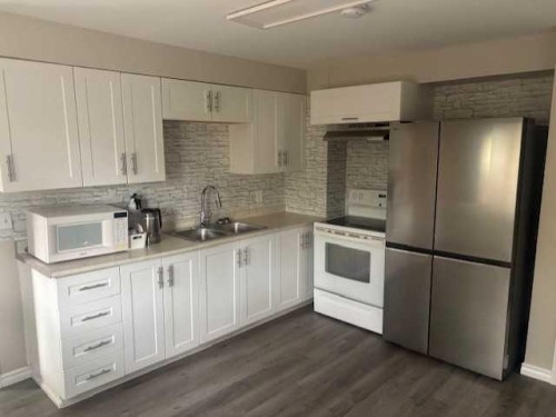 308 Balsam Avenue, Jasper, AB - Indoor Photo Showing Kitchen With Double Sink