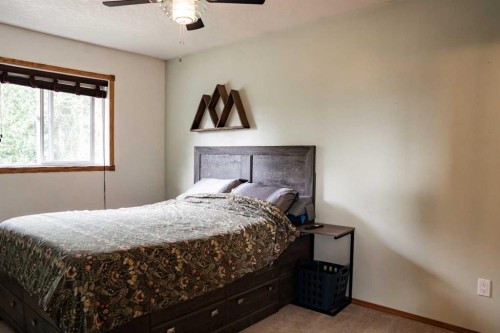382 Skogg Avenue, Hinton, AB - Indoor Photo Showing Bedroom