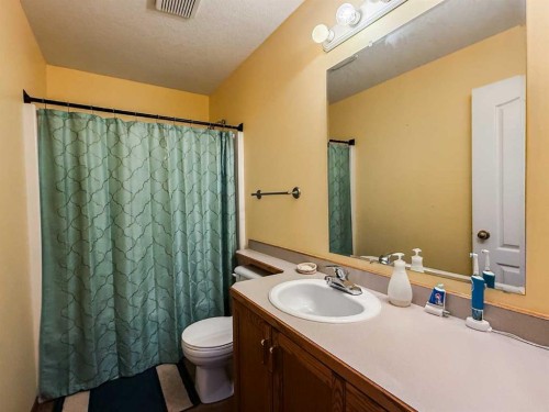 382 Skogg Avenue, Hinton, AB - Indoor Photo Showing Bathroom