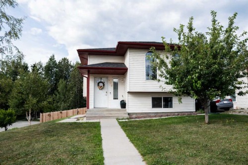 382 Skogg Avenue  Hinton, AB T7V 1A8