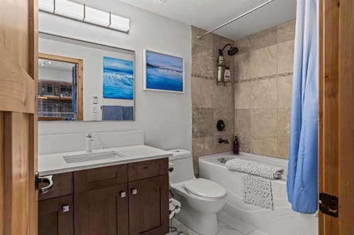 205-600 Spring Creek Drive, Canmore, AB - Indoor Photo Showing Bathroom