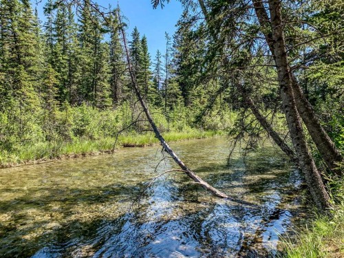 205-600 Spring Creek Drive, Canmore, AB - Outdoor With View
