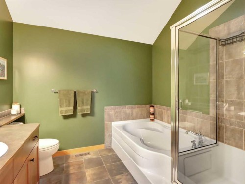 11-137 Wapiti Close, Canmore, AB - Indoor Photo Showing Bathroom