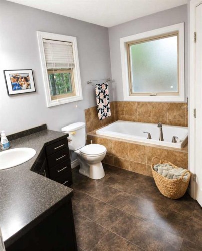 170 David Drive, Whispering Hills, AB - Indoor Photo Showing Bathroom