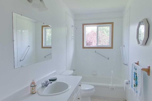 655019 44 Highway, Flatbush, AB - Indoor Photo Showing Bathroom