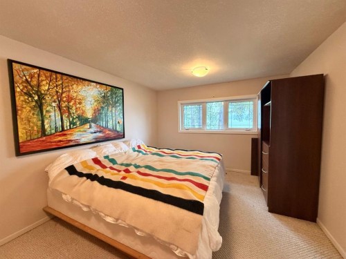 30 Carlson Drive, Goose Lake, AB - Indoor Photo Showing Bedroom