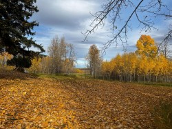 Lot 2-120053 Township Road 584 Rural Woodlands County, AB T7S 1A1