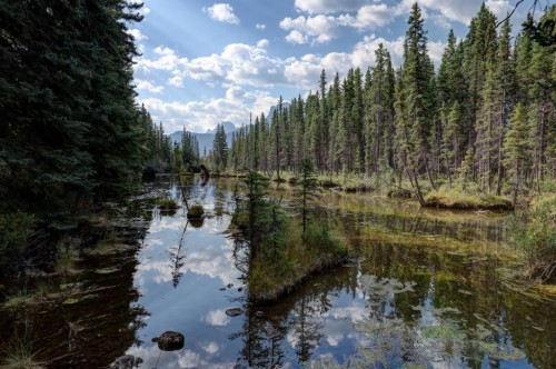 845 14Th Street, Canmore, AB 