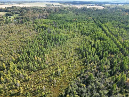 Ne-22-66-22-W4 Range Road 222, Rural Athabasca County, AB 