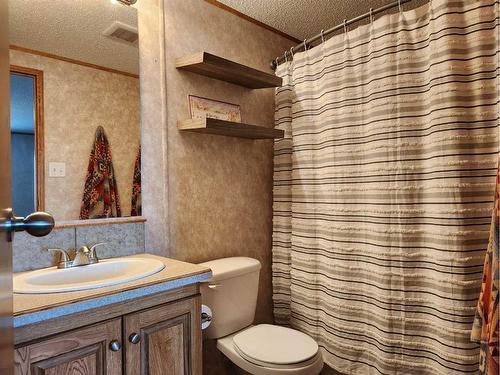 Range Road 25, Rural Red Deer County, AB - Indoor Photo Showing Bathroom