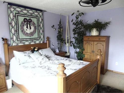 73 3 Street East, Drumheller, AB - Indoor Photo Showing Bedroom