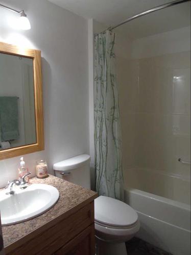 55 Centre Street, Drumheller, AB - Indoor Photo Showing Bathroom