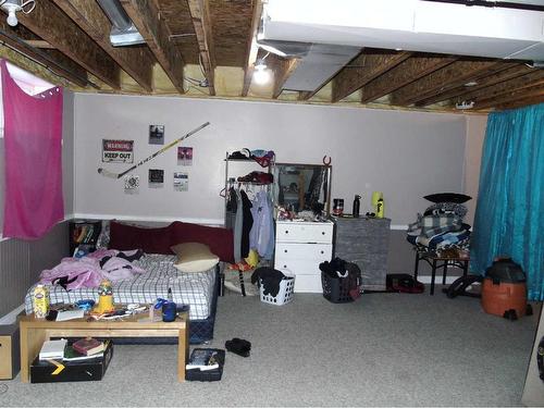 1230 Newcastle Trail, Drumheller, AB - Indoor Photo Showing Basement