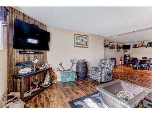 610 Greene Close, Drumheller, AB - Indoor Photo Showing Living Room