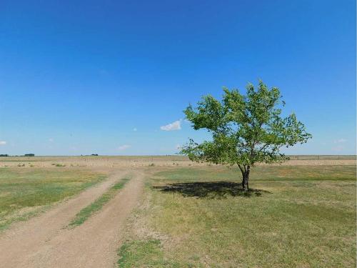 Blue Sign-164002 B Hwy 36, Rural Newell, County Of, AB - Outdoor With View