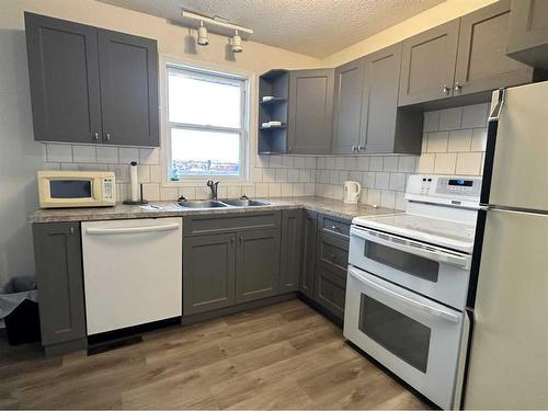 407 1 Avenue East, Oyen, AB - Indoor Photo Showing Kitchen With Double Sink