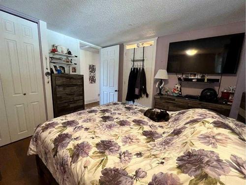 9 Spruce Drive, Drumheller, AB - Indoor Photo Showing Bedroom