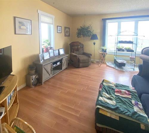 171080 Hwy 875, Rural Newell, County Of, AB - Indoor Photo Showing Living Room