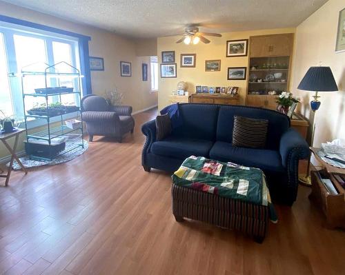 171080 Hwy 875, Rural Newell, County Of, AB - Indoor Photo Showing Living Room