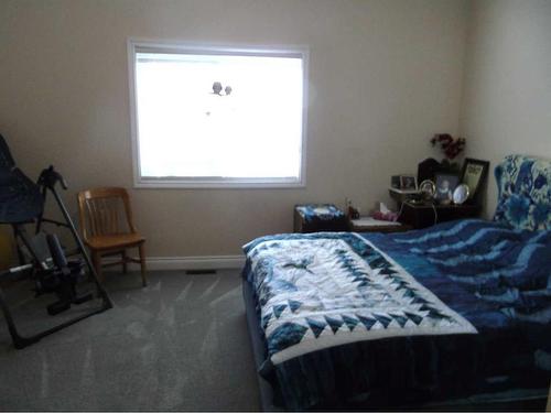 336 Mabbott Road, Drumheller, AB - Indoor Photo Showing Bedroom