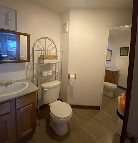 625 Dahlia Street, Rosemary, AB - Indoor Photo Showing Bathroom
