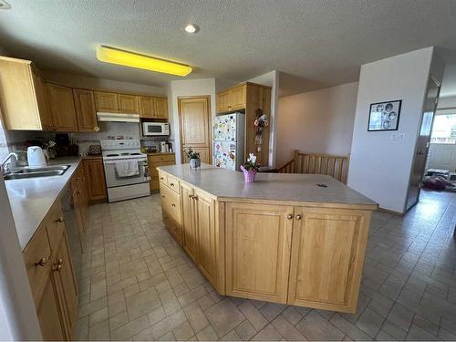 226 1 Avenue North, Delia, AB - Indoor Photo Showing Kitchen With Double Sink