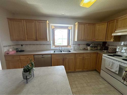 226 1 Avenue North, Delia, AB - Indoor Photo Showing Kitchen With Double Sink