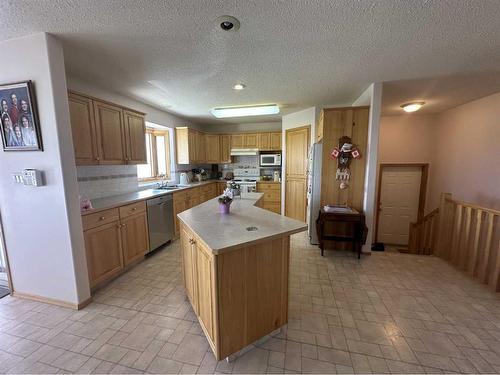 226 1 Avenue North, Delia, AB - Indoor Photo Showing Kitchen With Double Sink