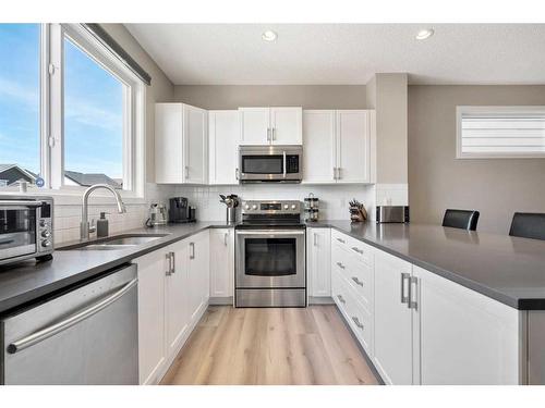 80 Masters Link Se, Calgary, AB - Indoor Photo Showing Kitchen With Stainless Steel Kitchen With Double Sink