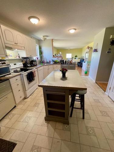 190025 Range Road 141, Rural Newell, County Of, AB - Indoor Photo Showing Kitchen
